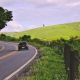 black vehicle on road near green leaf plants