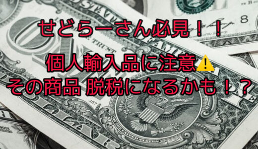 せどり仕入れで気をつけること〜個人輸入品〜