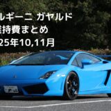 【10月・11月維持費まとめ】書き忘れてたけど、ガヤルドはちゃんと維持してました